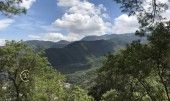 IMG-0355