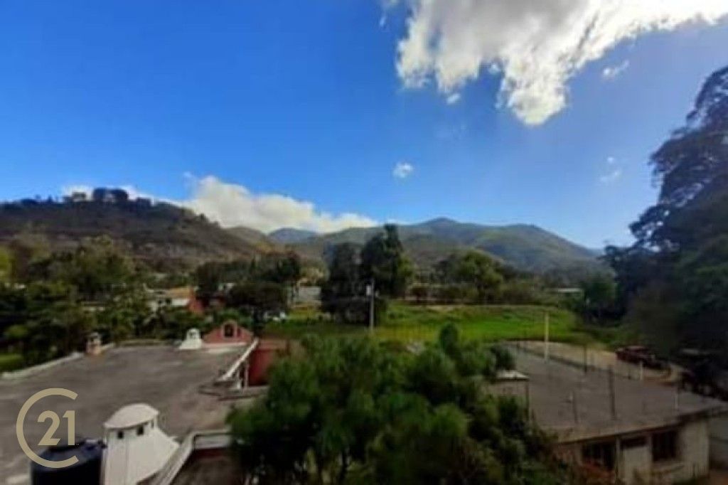 Pelaez 13