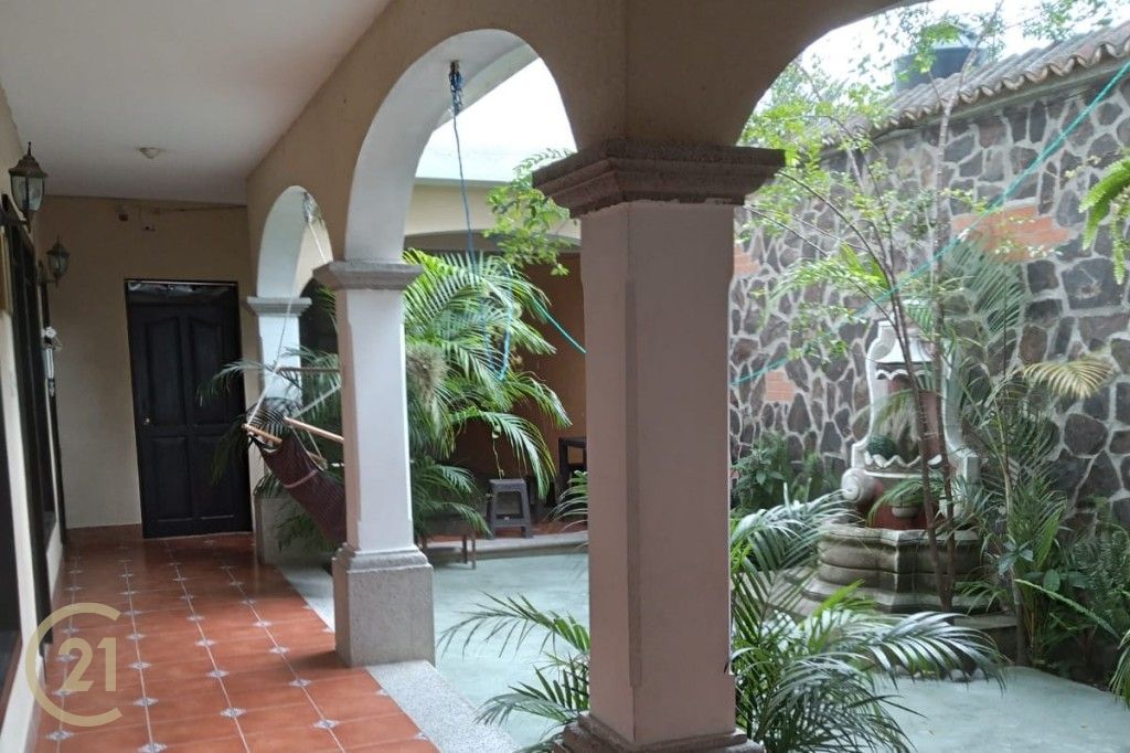 Pelaez 19