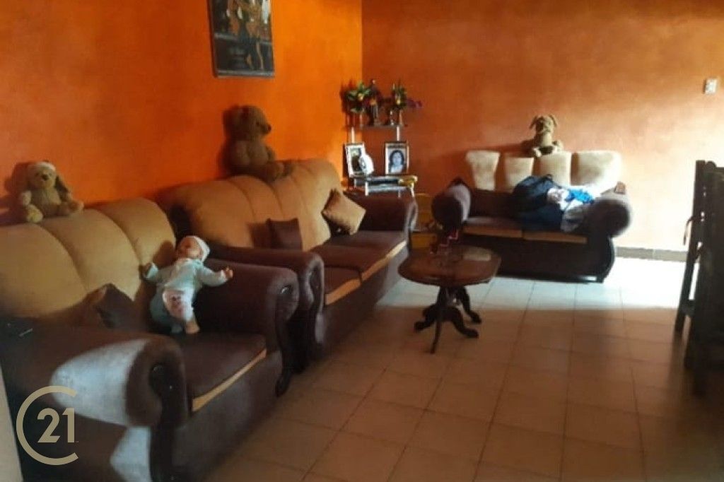 Pelaez 5