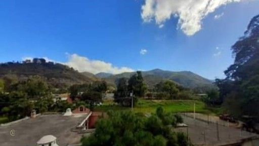 Pelaez 13