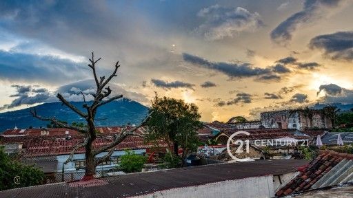 DSC08533_18