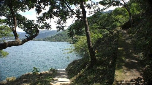 MSC Pathway to lake shore