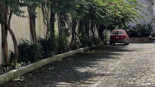 IMG-0812