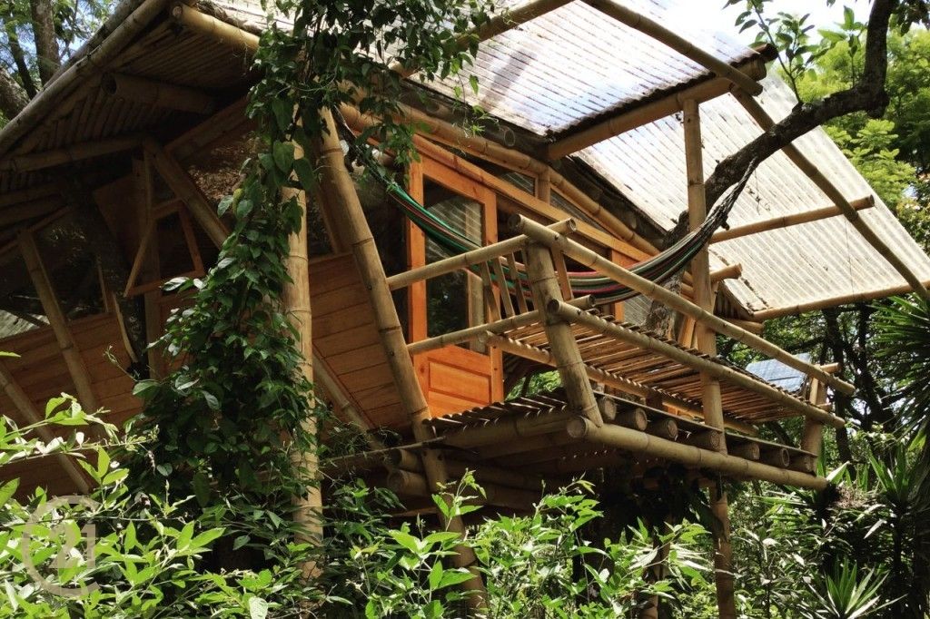 CMSP Exterior Tree House 1-0