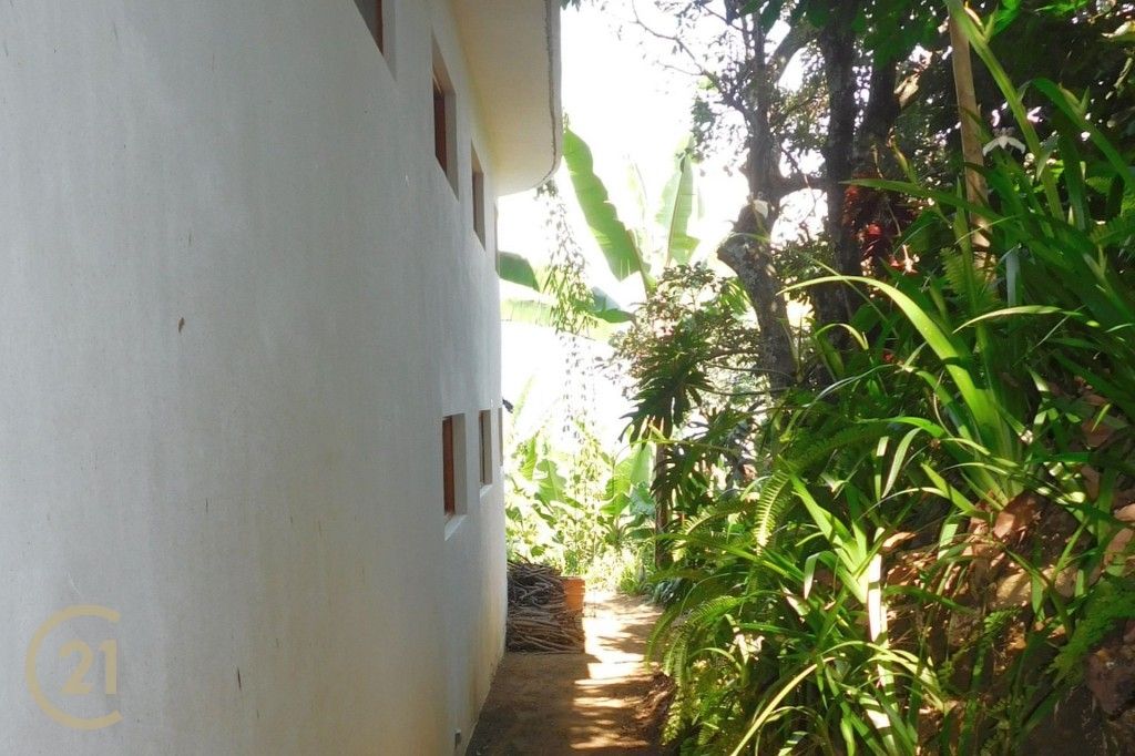 CMSP Side of house