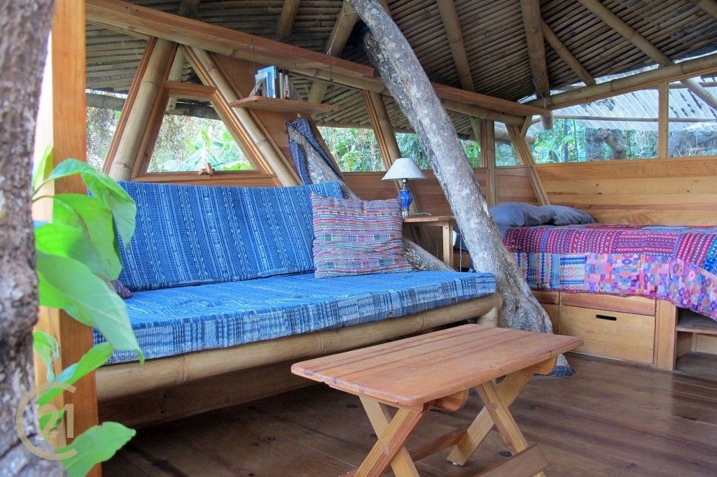 CMSP Tree House 1-1