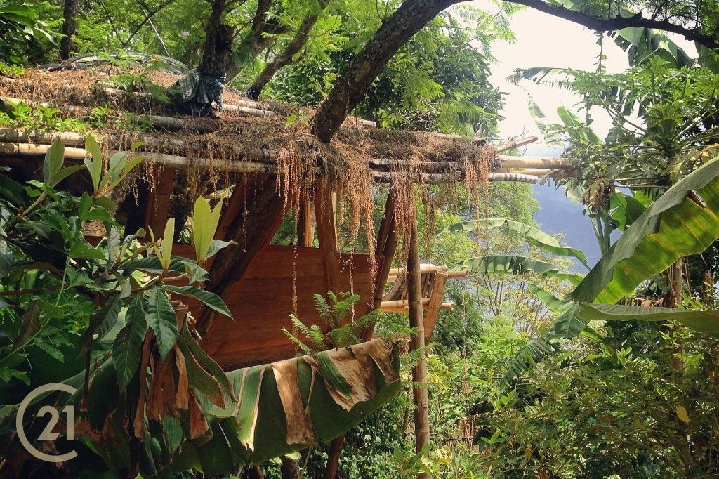 CMSP Tree House 1-2