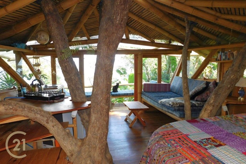 CMSP Tree House 1-3
