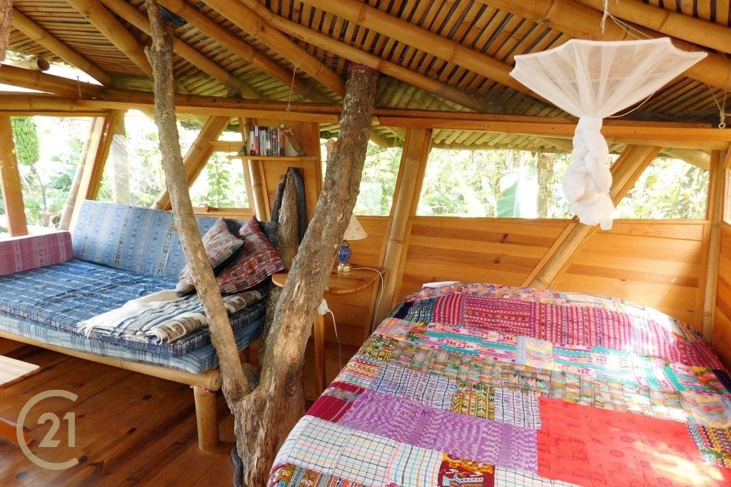 CMSP Tree House 1-4