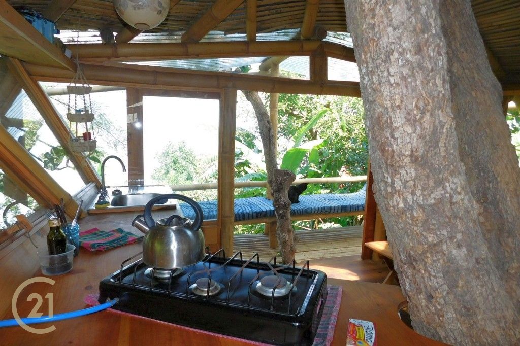 CMSP Tree House 1-5