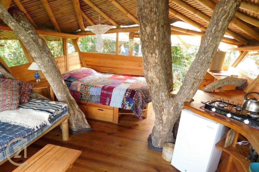 CMSP Tree House 1-6