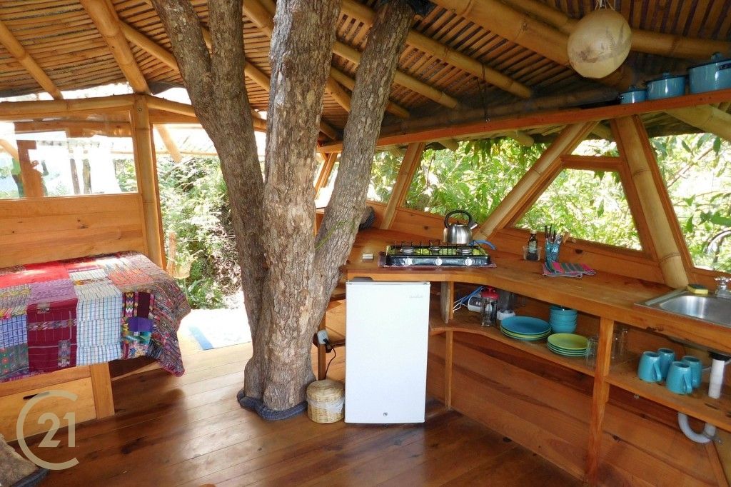CMSP Tree House 1-7