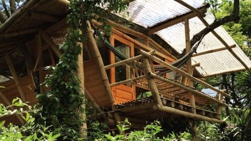 CMSP Exterior Tree House 1-0