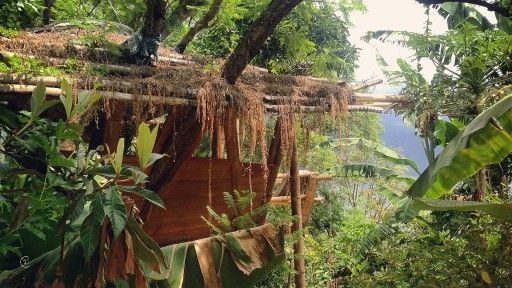CMSP Tree House 1-2