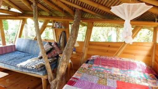 CMSP Tree House 1-4