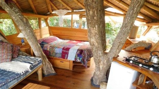 CMSP Tree House 1-6