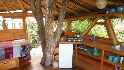 CMSP Tree House 1-7