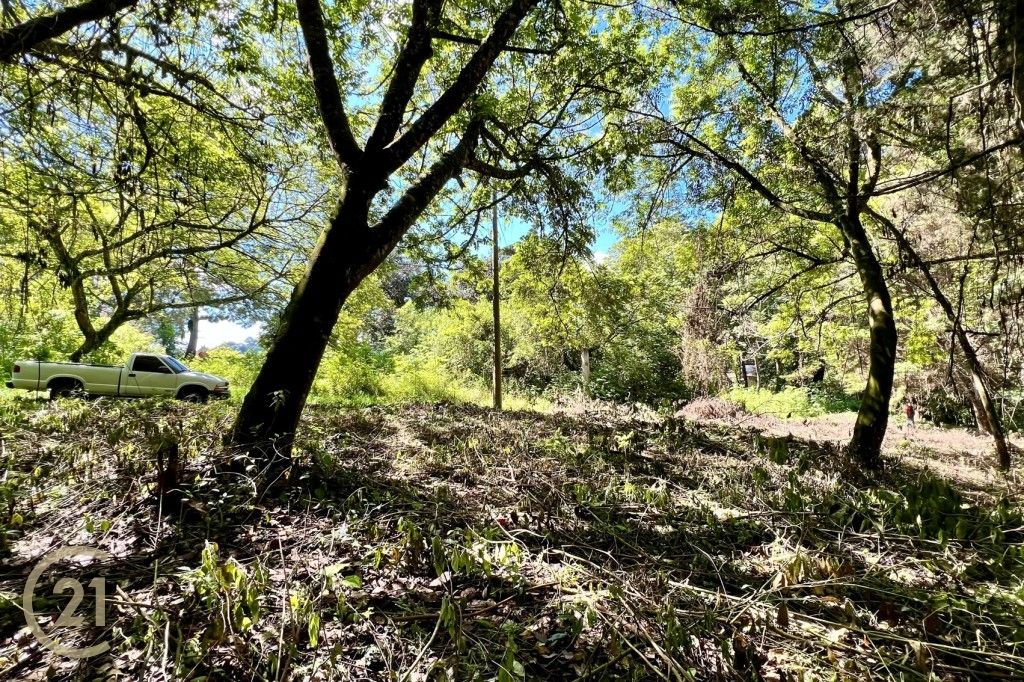 Terreno en venta en el area de San Lucas