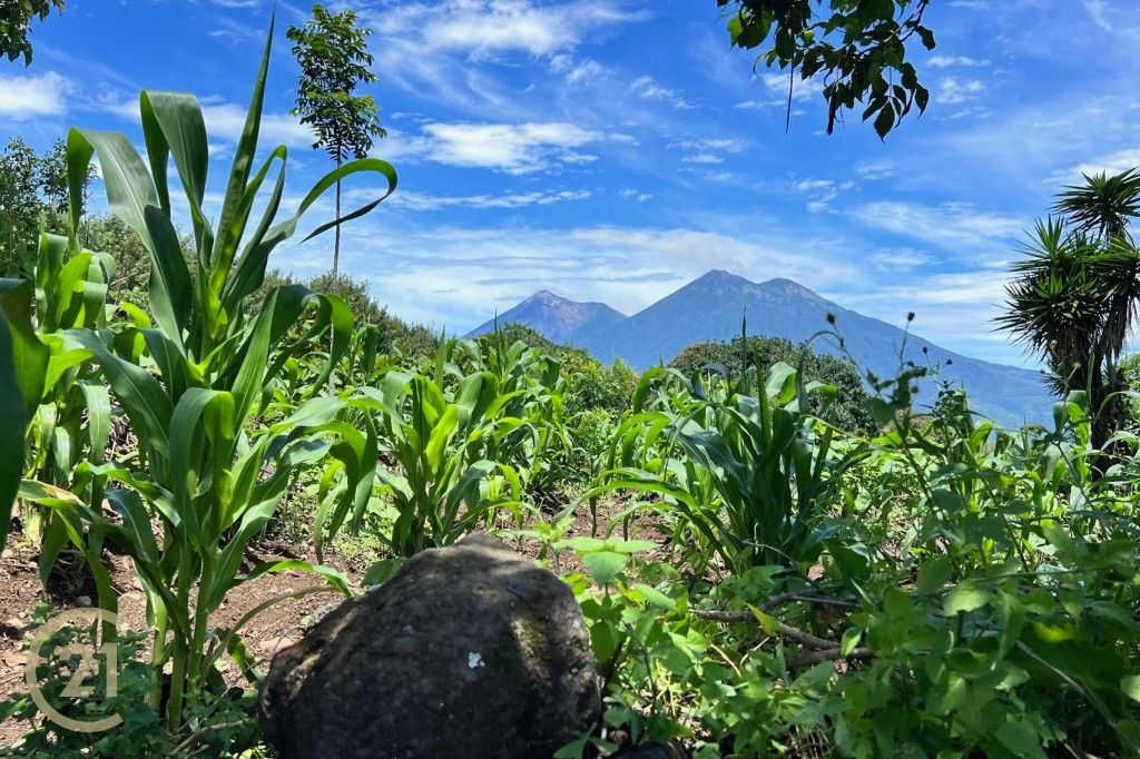 Lot for sale with nice volcano view