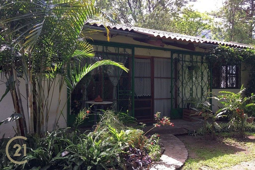DP-Entrance-to-house-1-1-1