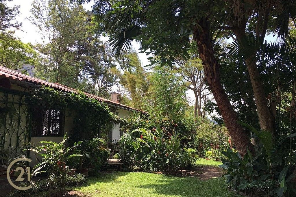 DP-Exterior-of-house-and-garden-1-1 (1)