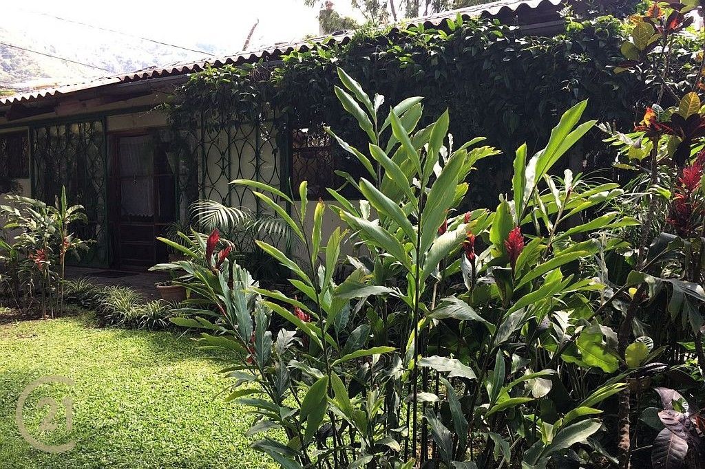 DP-Exterior-of-house-and-garden-1-2