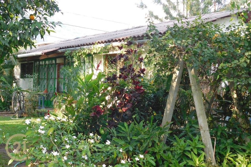 DP Exterior