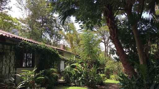 DP-Exterior-of-house-and-garden-1-1 (1)