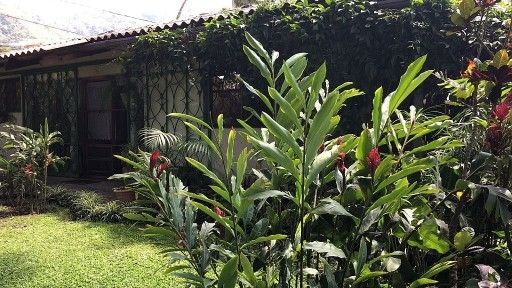 DP-Exterior-of-house-and-garden-1-2