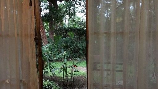 DP-View-to-garden-1