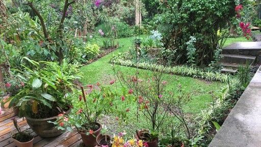 DPB Gardens 1-1