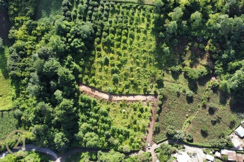 ADX - Drone image of lotification - 1-2