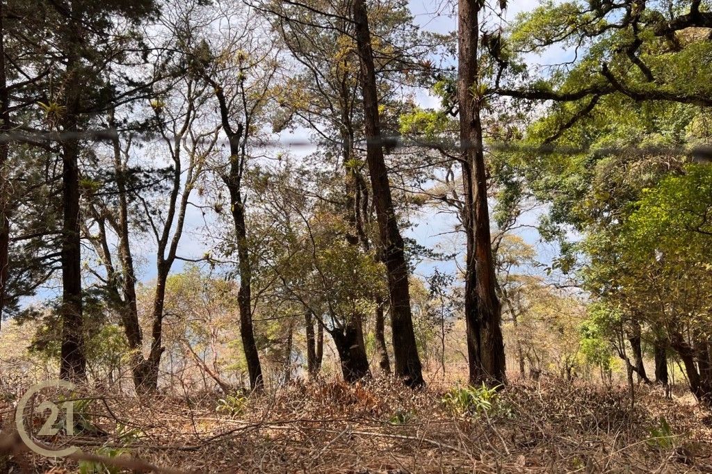 Espectacular terreno en venta con vistas panorámicas