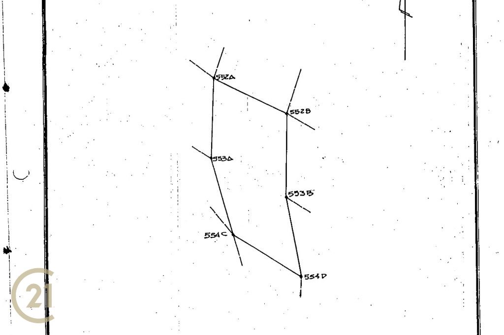 56013294_4 (1)