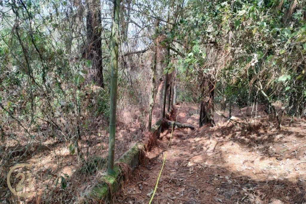 NdL Boundary fence 1-0