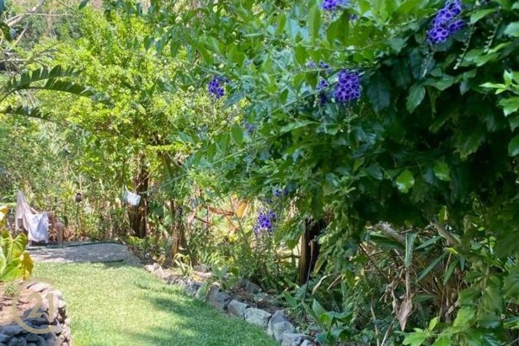 SJ Garden 1-0