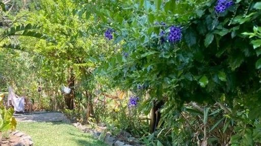 SJ Garden 1-0
