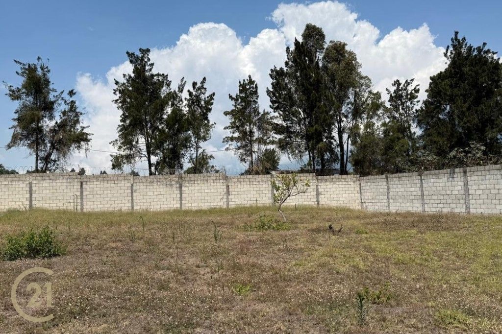 Land for Sale in Ciudad Vieja