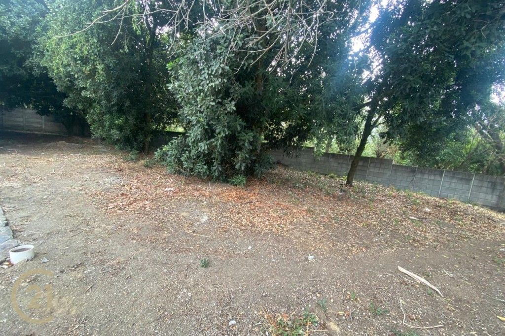 IMG-20250521-WA0007
