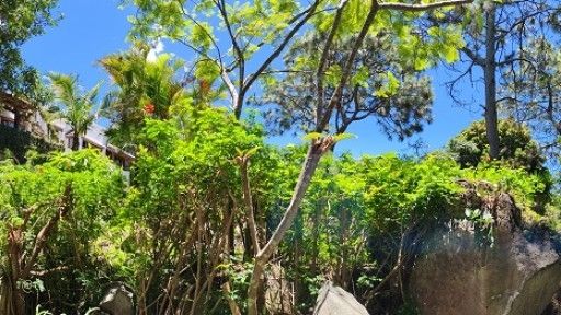 VSA Panorama garden
