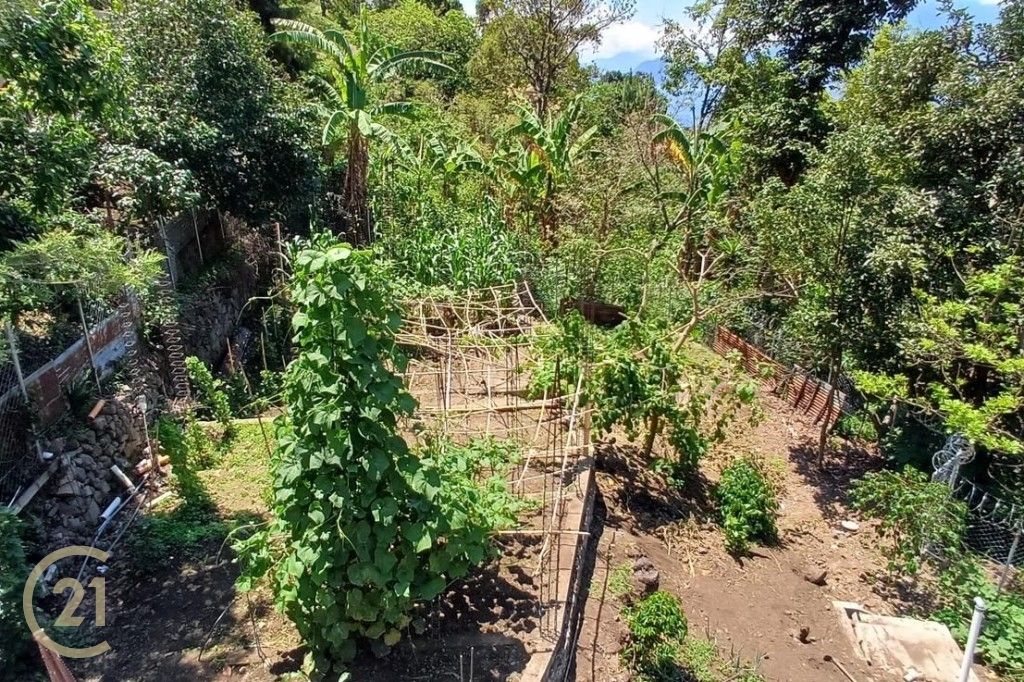 LT Garden 1-0
