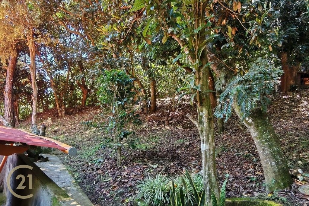 GT Gardens 1-1