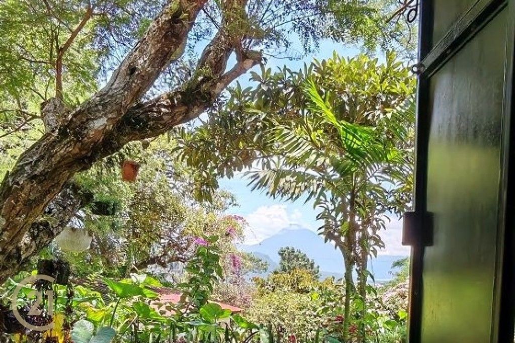 GT View from Casa A