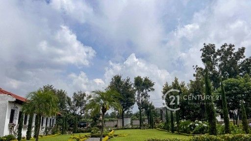 1722_1_img_2719-2