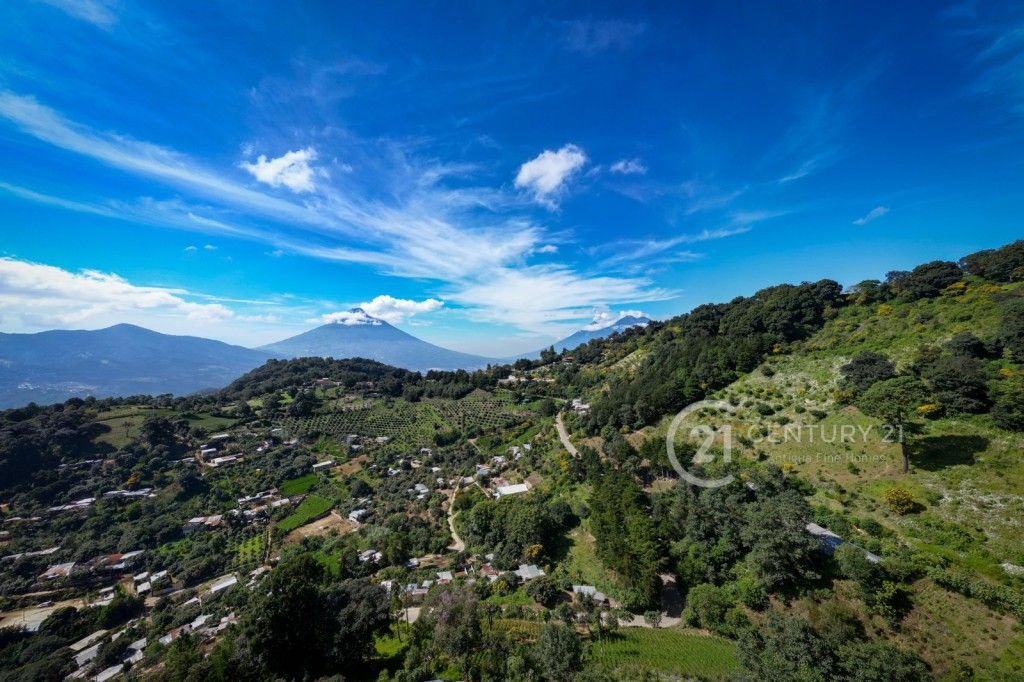 WhatsApp Image 2025-11-10 at 12.14.35 PM