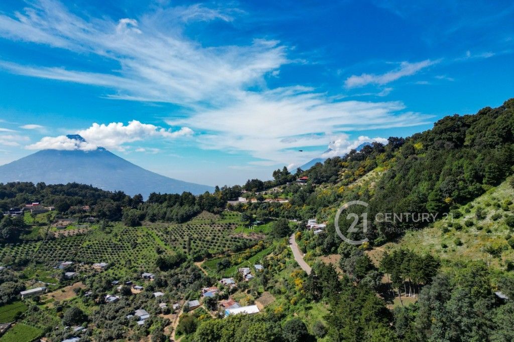 WhatsApp Image 2025-11-10 at 12.14.35 PM (1)