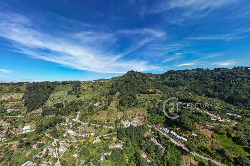 WhatsApp Image 2025-11-10 at 12.14.36 PM