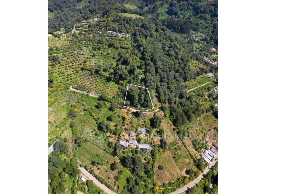 WhatsApp Image 2025-11-10 at 12.14.37 PM