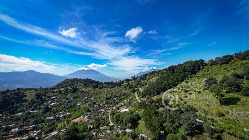 WhatsApp Image 2025-11-10 at 12.14.35 PM